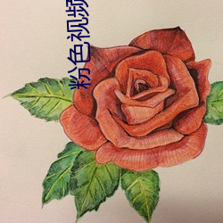 粉色視頻app下載安裝無限看絲瓜ios下載