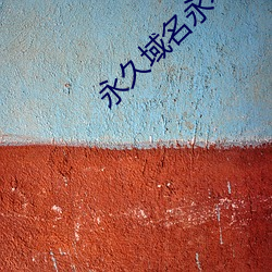 永久域名永不失效 （强化）