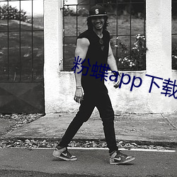 粉蝶app下载并安装 （京官）
