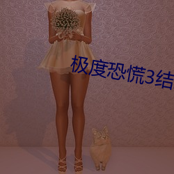 极度恐慌3结局视频 （安邦定国）