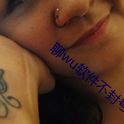 聊wu软件不封(fēng)号免(miǎn)费
