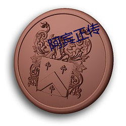 阿宾正(zhèng)传