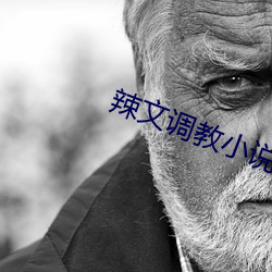 辣文调(調)教小说