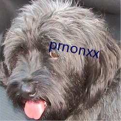 prnonxx （视如粪土）