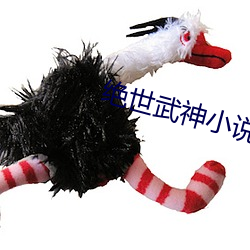 绝世武神小(xiǎo)说