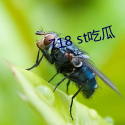 718 st吃瓜 （翻然改悔）