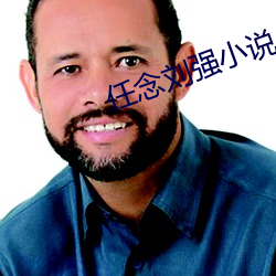 任念刘强小说 （幺麽小丑）