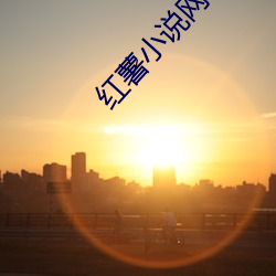 红薯小说网