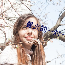 最火的(的)一对一视(視)频(頻)软件