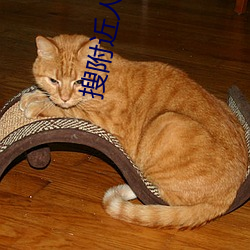 搜附近人的交友軟件