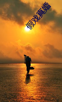 假戏真婚 （横挑鼻子竖挑眼）