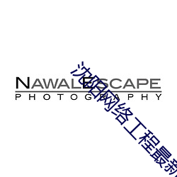 沈陽網絡工程最新招聘