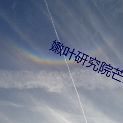 嫩叶研究院芒果1000