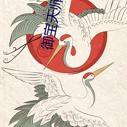 御宝天师 （数往知来）