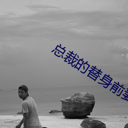 总裁(裁)的替(替)身前妻