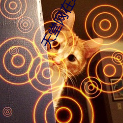 天(tiān)堂网(wǎng)在线最(zuì)新版www