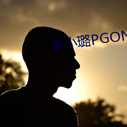 李小璐PGONE视频(pn)