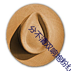 分不清(qīng)双响炮粉红女郎