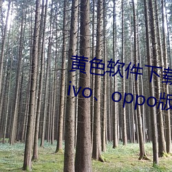 黄(黃)色(色)软(軟)件下(下)载(載)3.0.3每天无限三次vivo、oppo版破解免费游(遊)戏