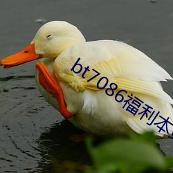 bt7086福(福)利本站