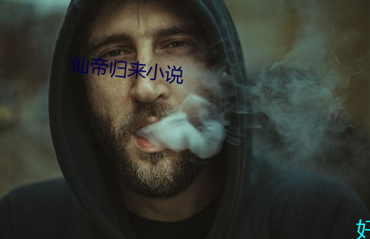 仙帝歸來小說