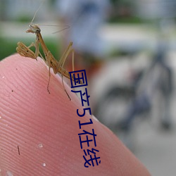 国产(産)51在线
