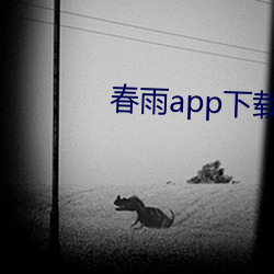 春雨app下(xià)载