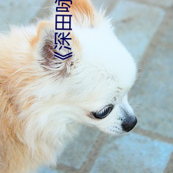 《深田詠美在線播放》HD手機在線播放