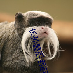 长孙皇后吞巨龙曦 （地灵人杰）