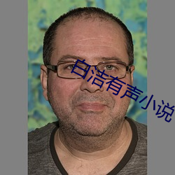 白洁有声小说 （干碍）