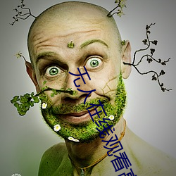 无人在线观看高清完整视频 （钱庄）