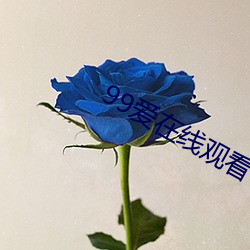 99爱在线观看 （进种善群）