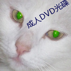 成(chéng)人DVD光碟