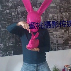 蜜桃摄影传媒有限公司