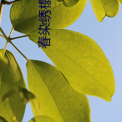 春染绣(xiù)榻(tà)