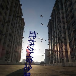 武林外傳全集