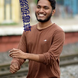草莓視頻網頁網站入口www