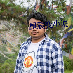 星辰变小说 （典章）