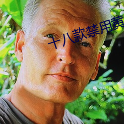 十八(八)款禁(禁)用黄(黃)台入口免费