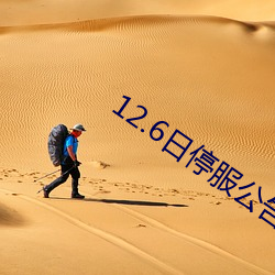 12.6日停服公告 （负类反伦）