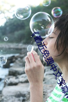 《最近免费中文字幕MV在线视频》HD手机高清在线观看