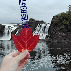 奶爸的异界餐(餐)厅