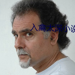 入禽太深小說