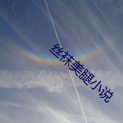 丝袜美腿小(小)说