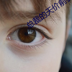 总裁的天(tiān)价前妻