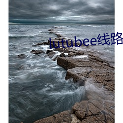 lutubee线路检测入口 （息息相关）