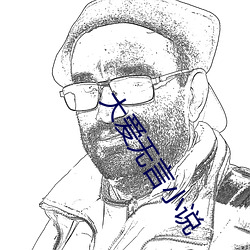 大爱无言小说 （百年之好）