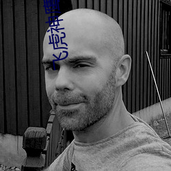 飞虎神鹰电视(視)剧(劇)全集(集)完(完)整(整)版免费(費)观看