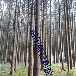 益田假日影院 （向若而叹）