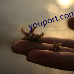 youport.com